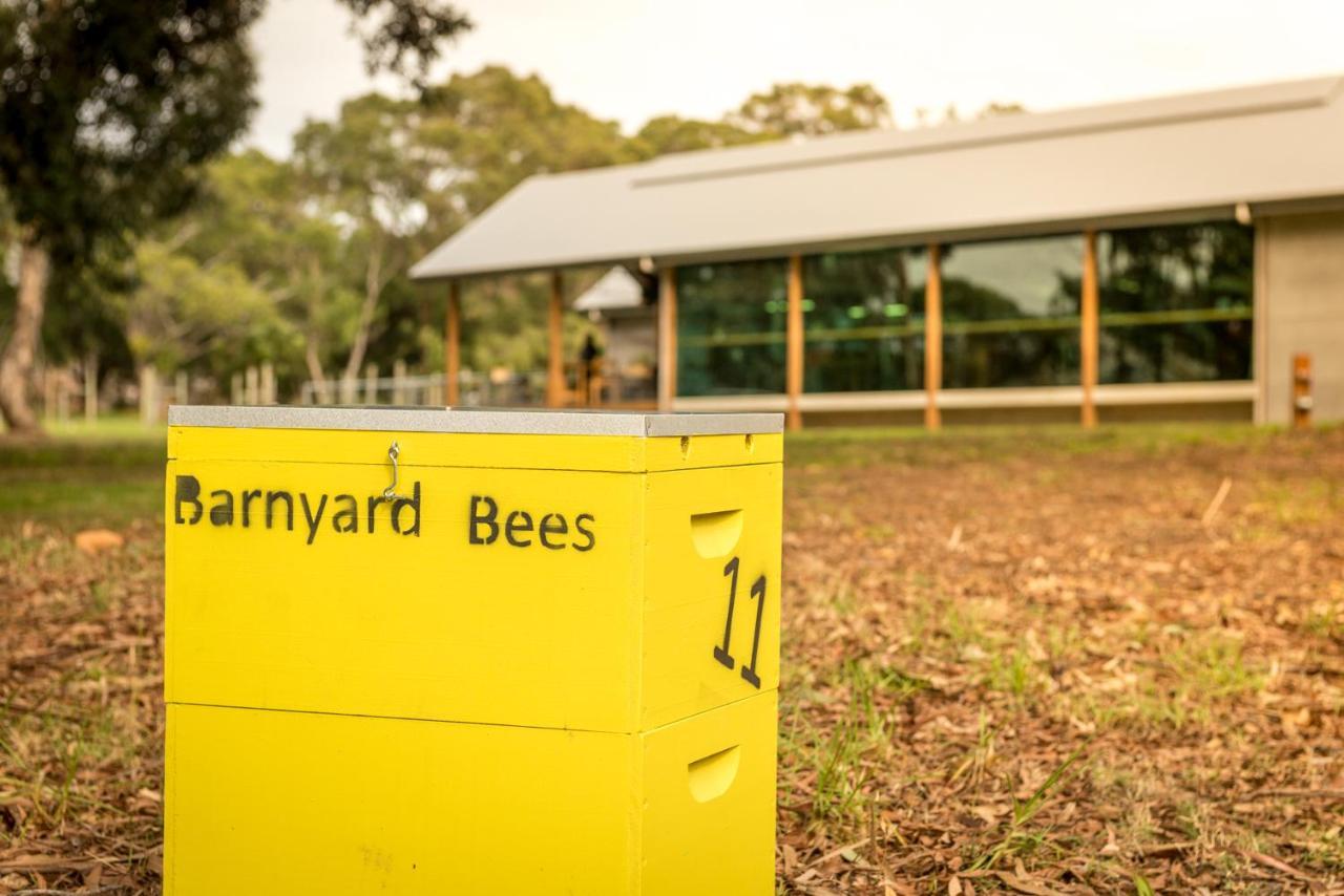 Barn Hives Yallingup Kültér fotó